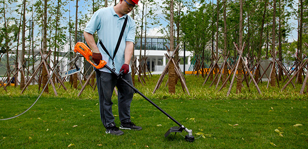 Electric Grass Trimmer & Electric Peniculus Cutter